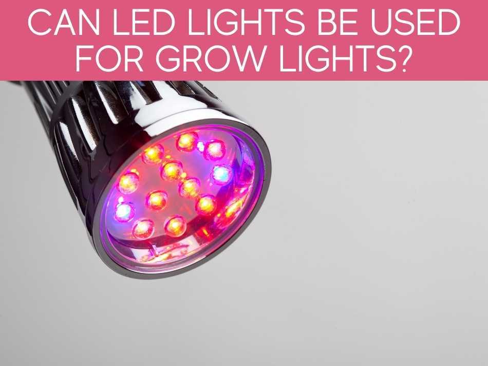 Can LED Lights Be Used For Grow Lights?