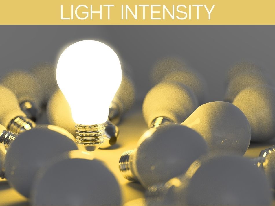 Light Intensity