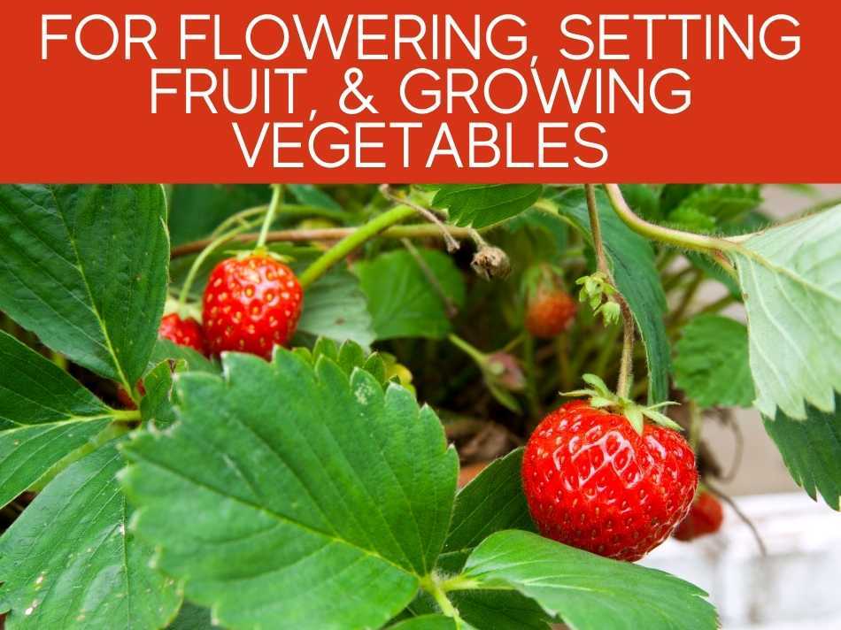 For Flowering, Setting Fruit, & Growing Vegetables