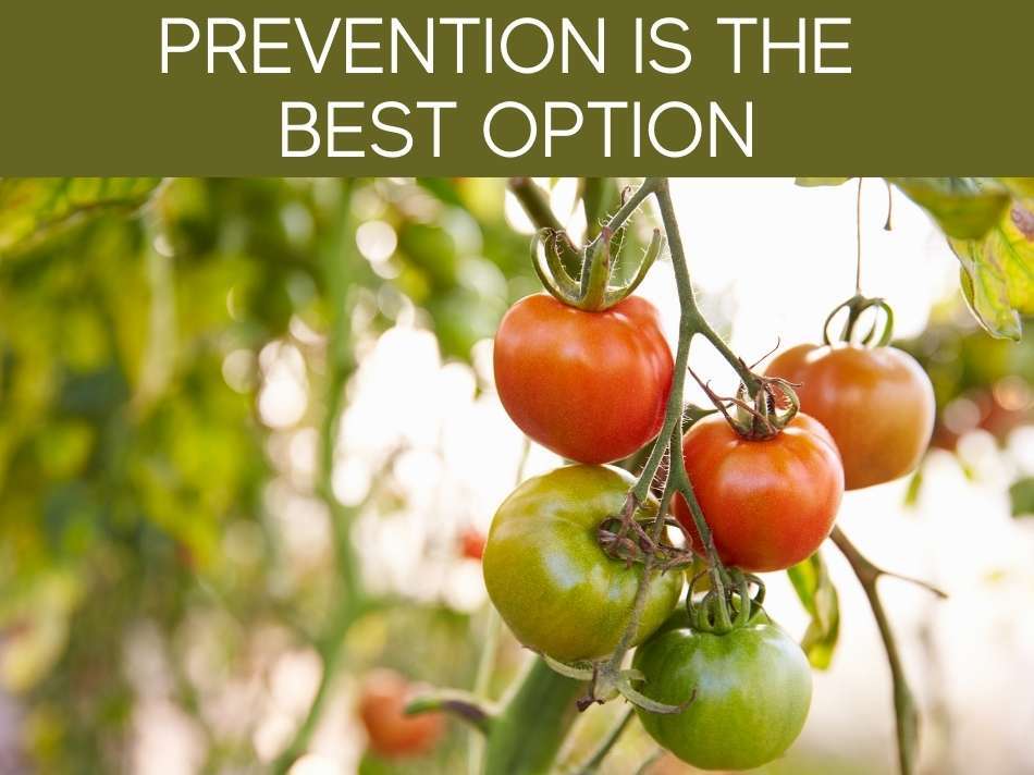 Prevention Is The Best Option