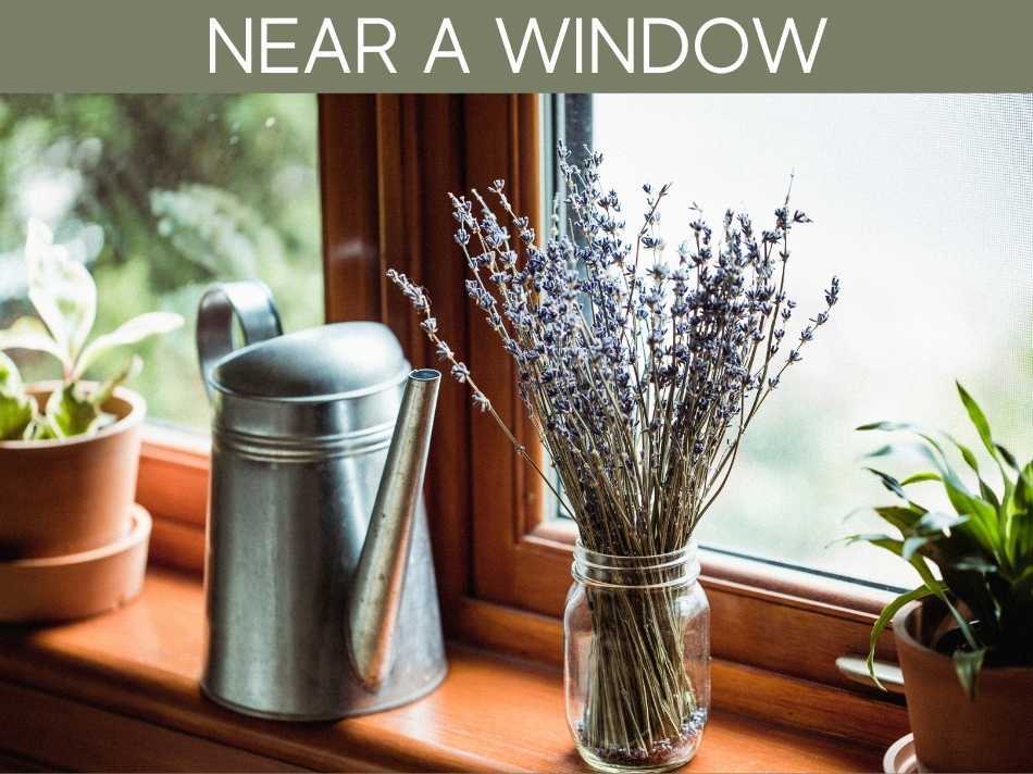 Near A Window