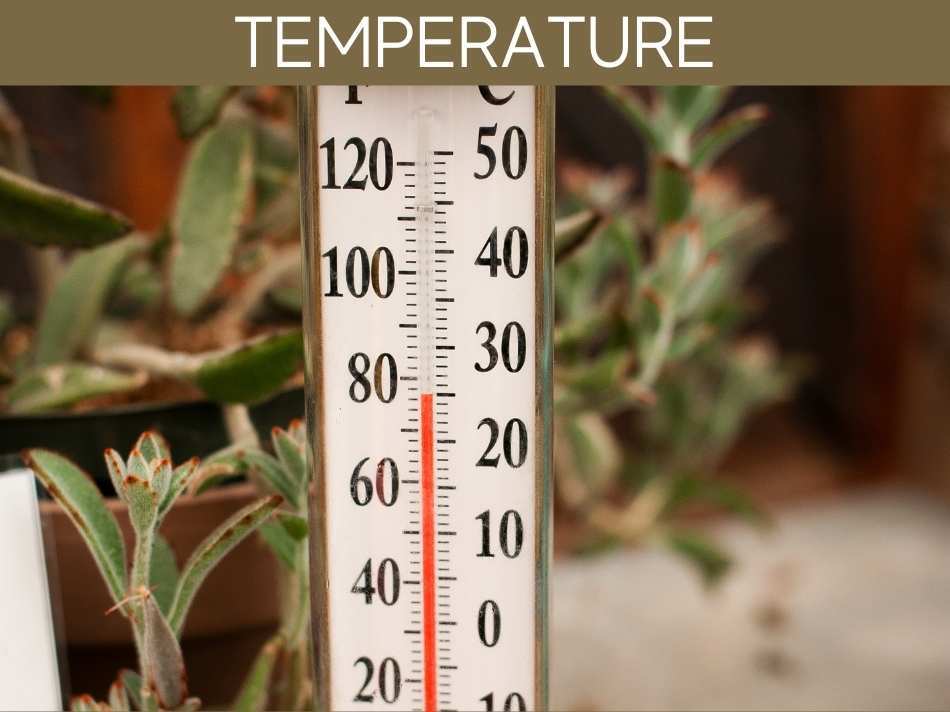 Temperature