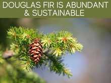 Douglas Fir Is Abundant & Sustainable