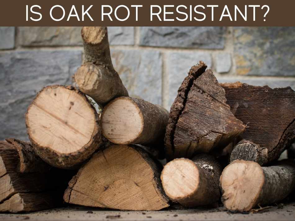 Is Oak Rot Resistant?