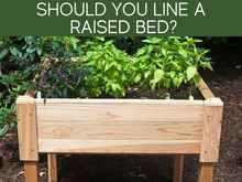 Should You Line A Raised Bed?