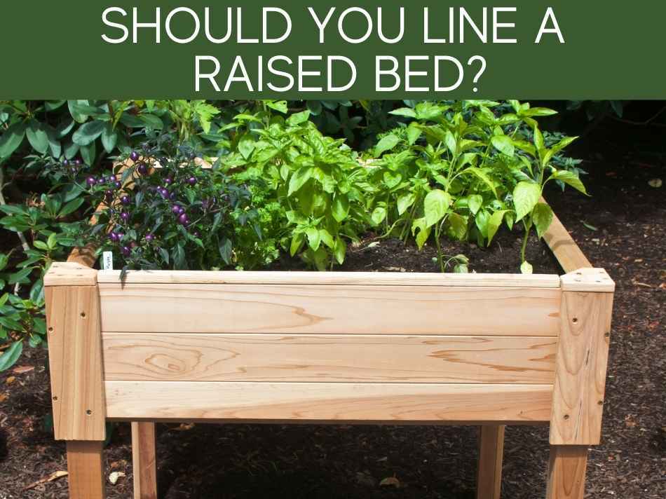 What to put under raised beds