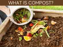 What Is Compost? What Is Compost?