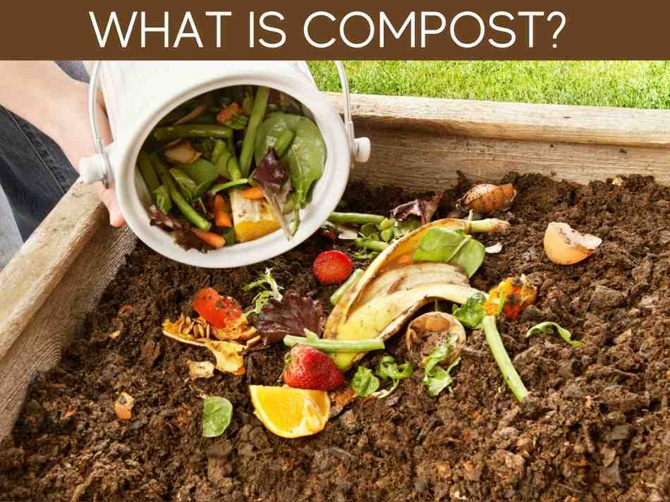 How to Make Compost