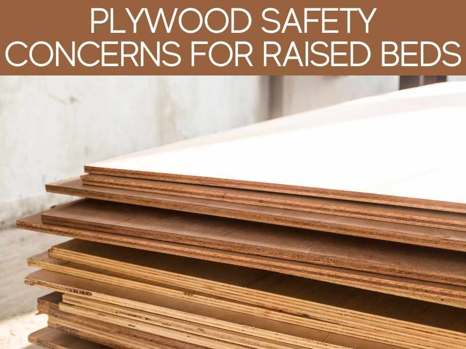 Plywood Safety Concerns For Raised Beds