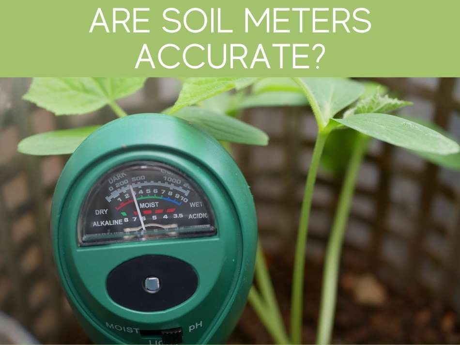 Are Soil Meters Accurate?