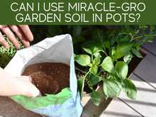 Can I Use Miracle-Gro Garden Soil In Pots? Can I Use Miracle-Gro Garden Soil In Pots?