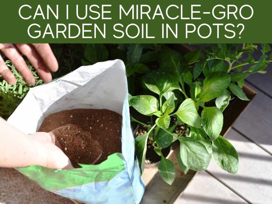 Can I Use Miracle-Gro Garden Soil In Pots?