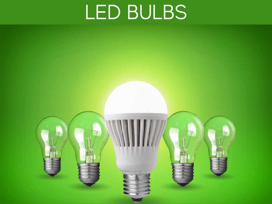 LED Bulbs