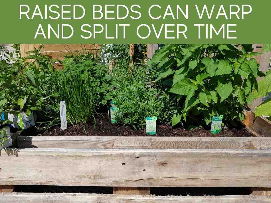 Raised Beds Can Warp And Split Over Time