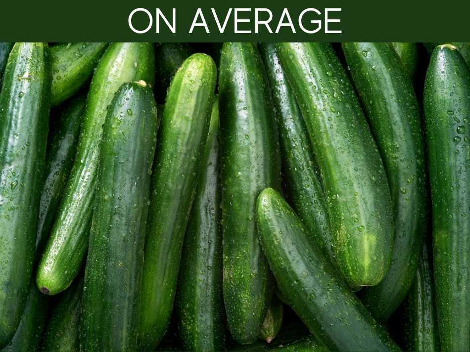 On Average