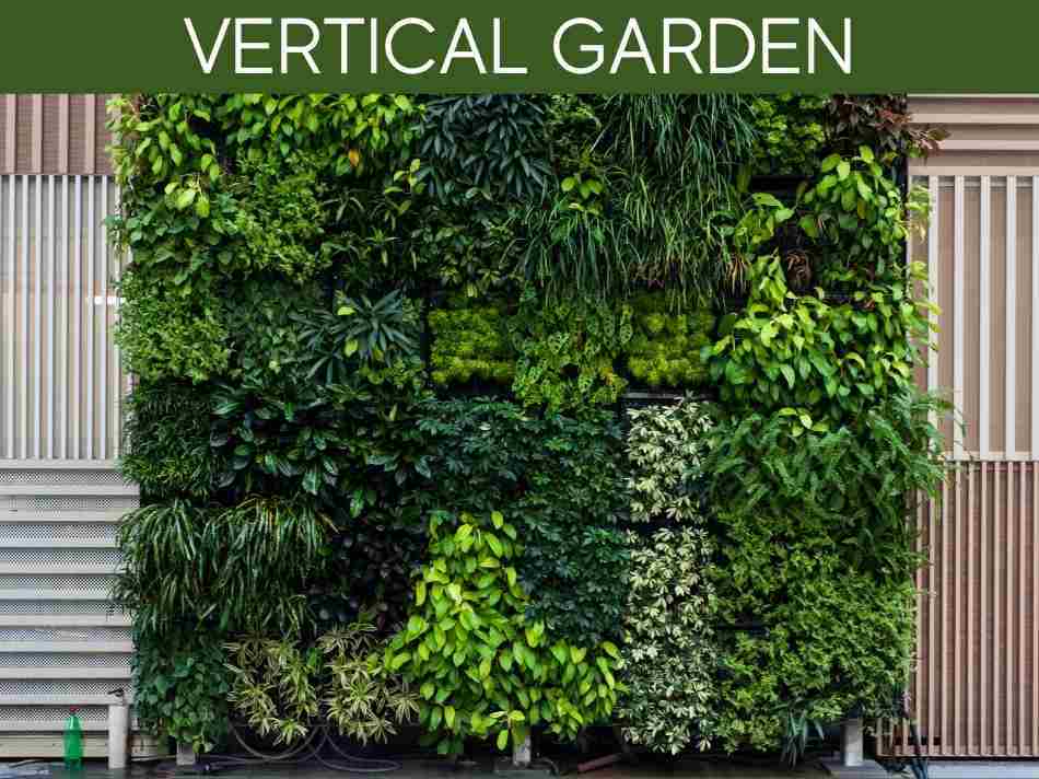 Vertical Garden