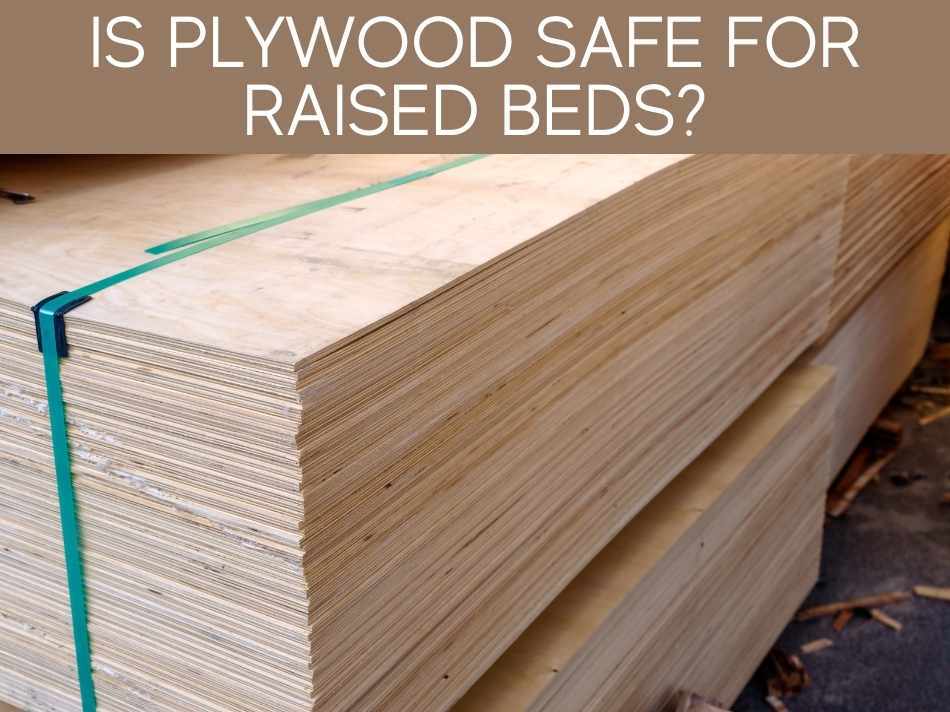 Is Plywood Safe For Raised Beds?