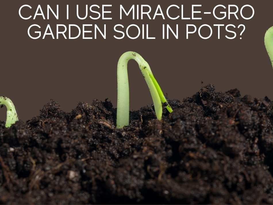 Can I Use Miracle-Gro Garden Soil In Pots?