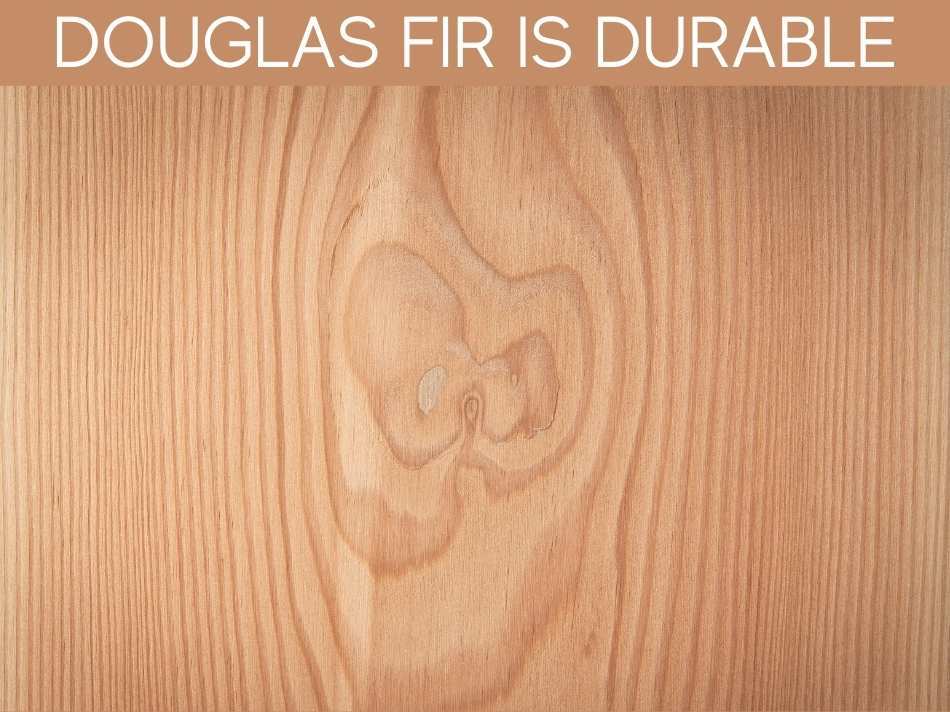 Douglas Fir is Durable