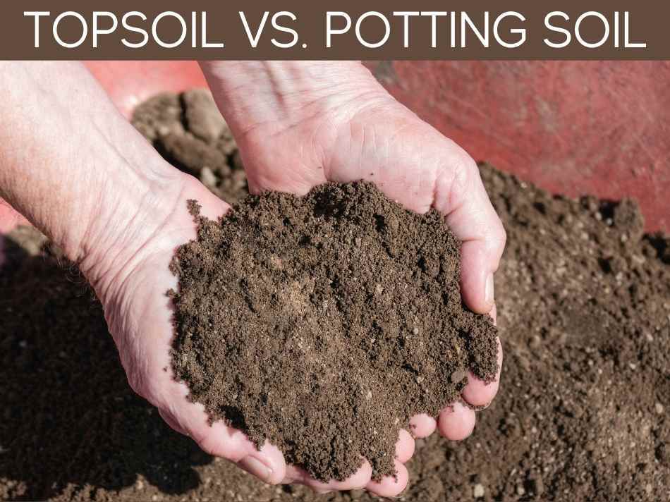 Topsoil Vs. Potting Soil