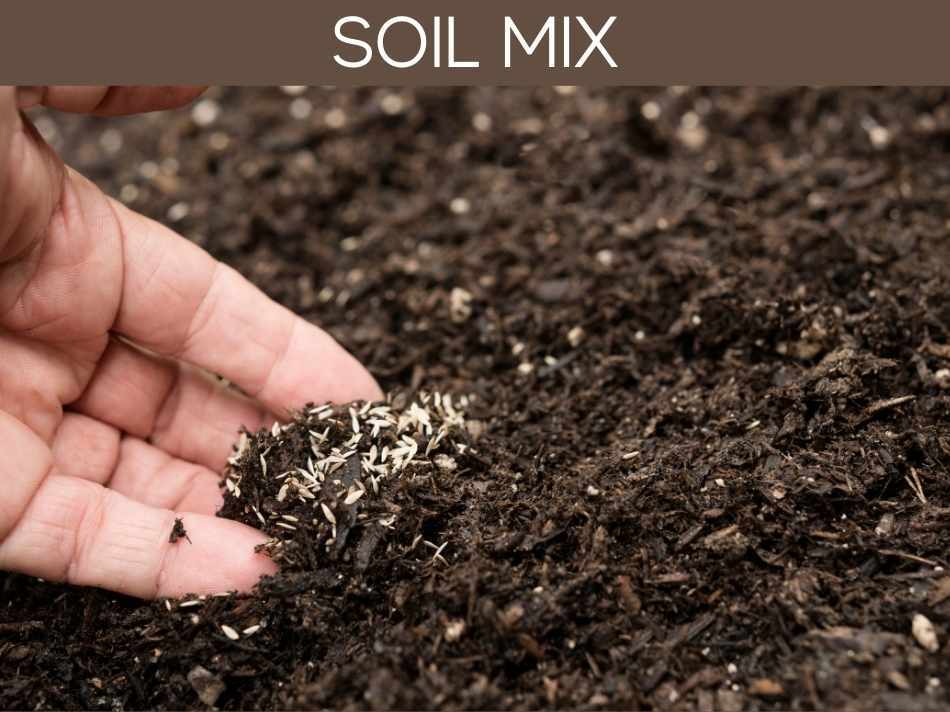 Soil Mix