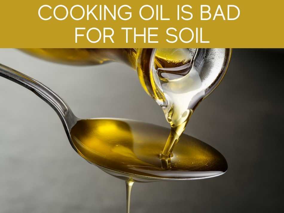 Cooking Oil Is Bad For The Soil