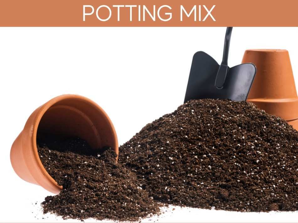 Potting Mix