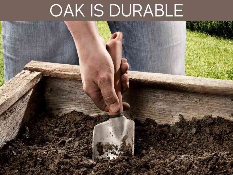 Oak Is Durable
