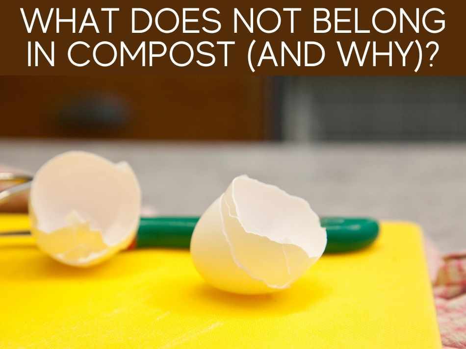 What Does Not Belong In Compost (And Why)?