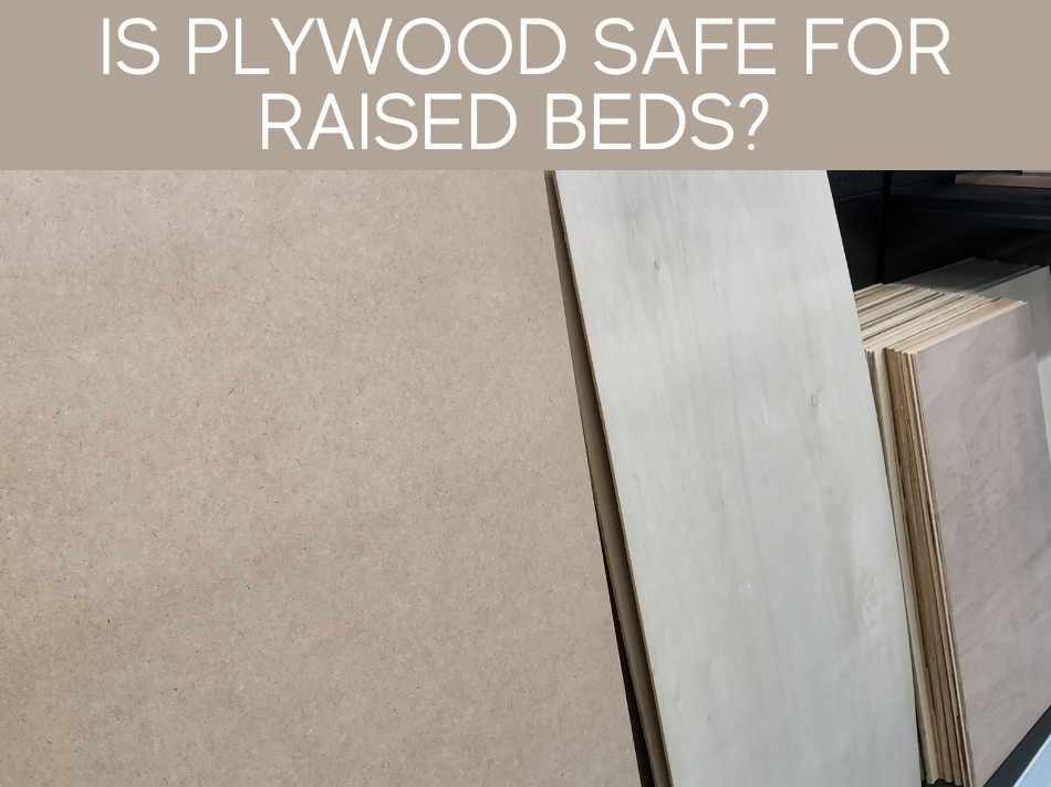 Is Plywood Safe For Raised Beds?