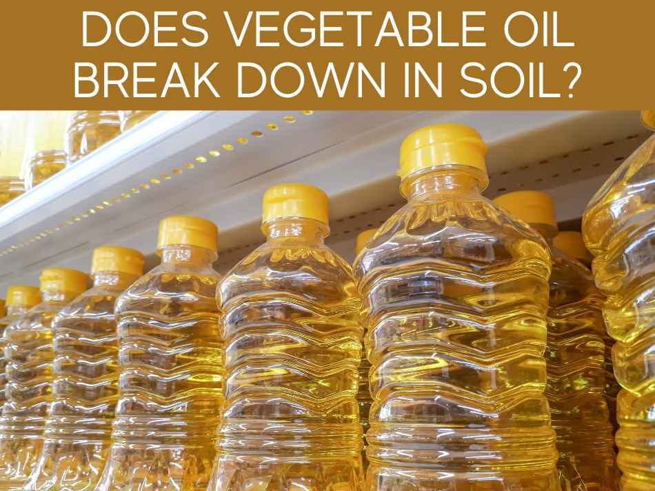 Does Vegetable Oil Break Down In Soil?