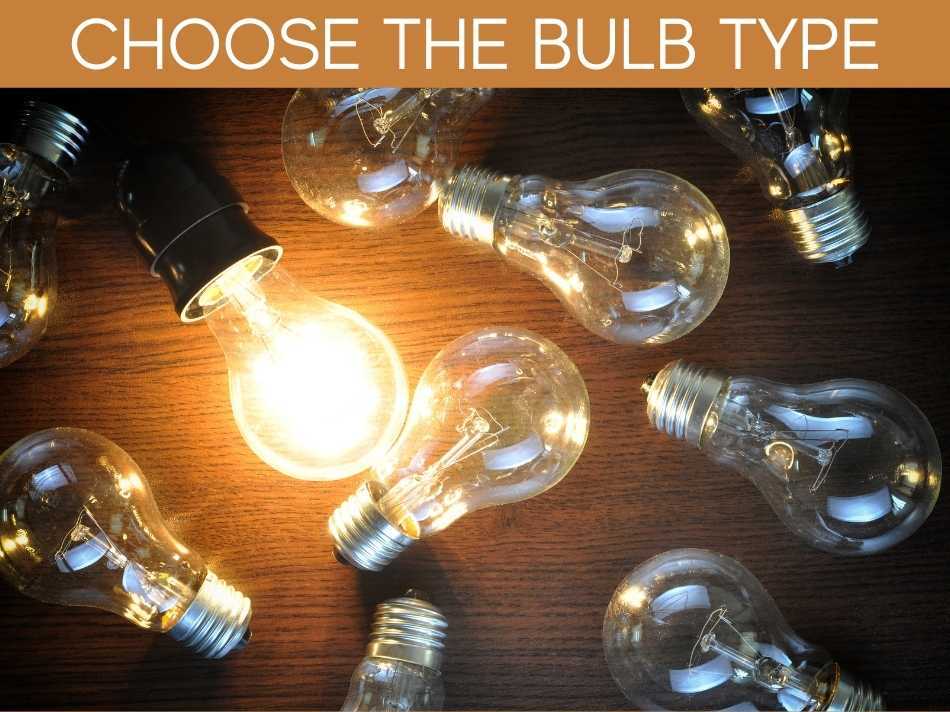 Choose The Bulb Type