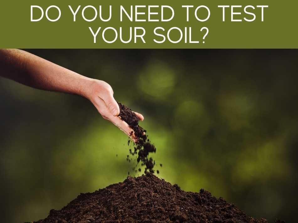 Do You Need To Test Your Soil?