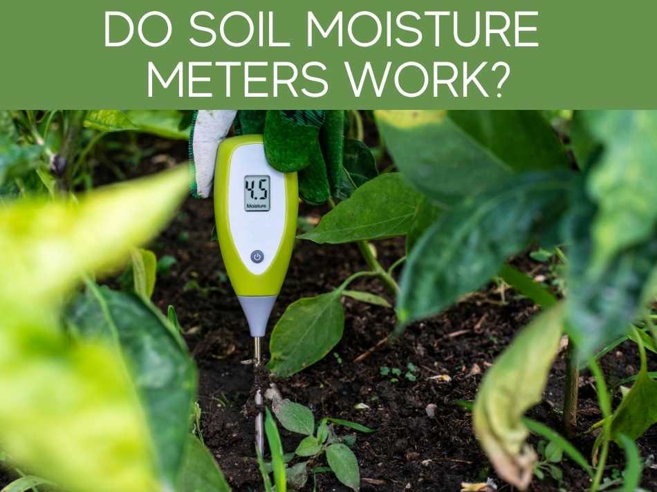 Do Soil Moisture Meters Work?