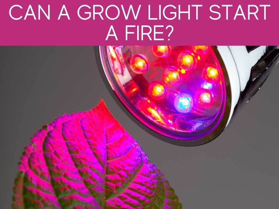 Can A Grow Light Start A Fire?
