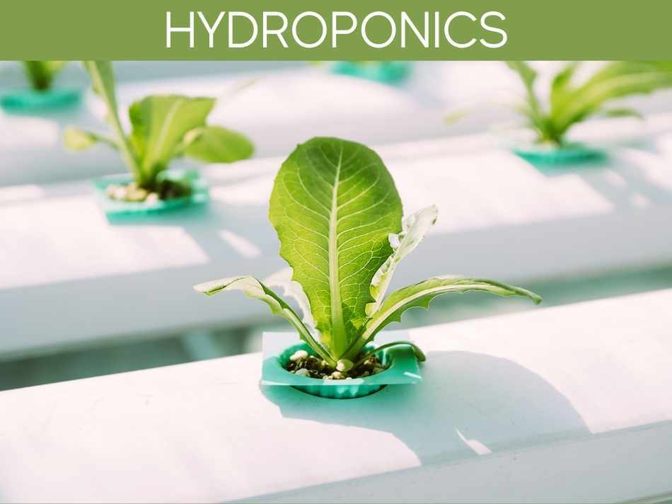 Hydroponics