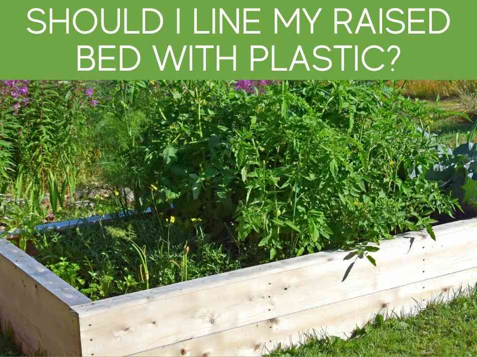 Should I Line My Raised Bed With Plastic?