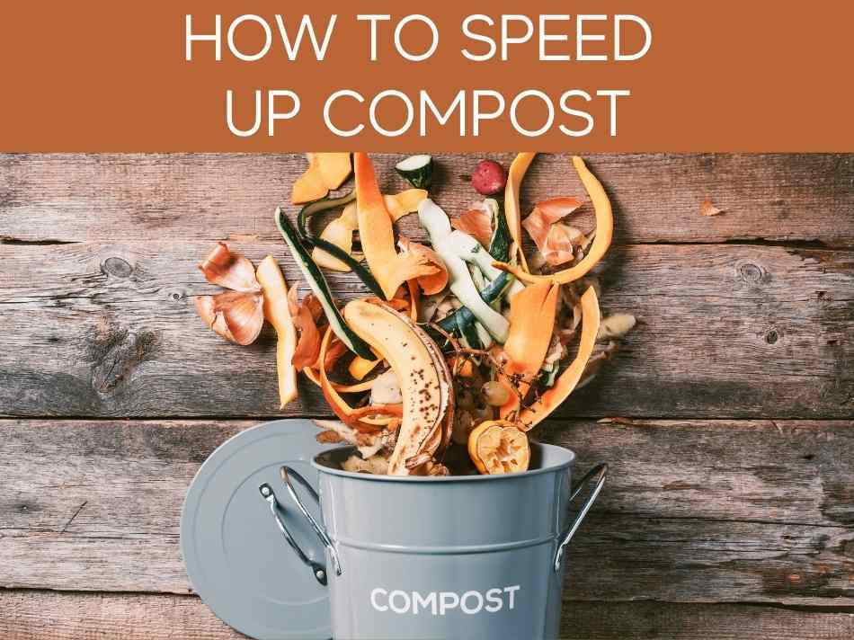 How To Speed Up Compost