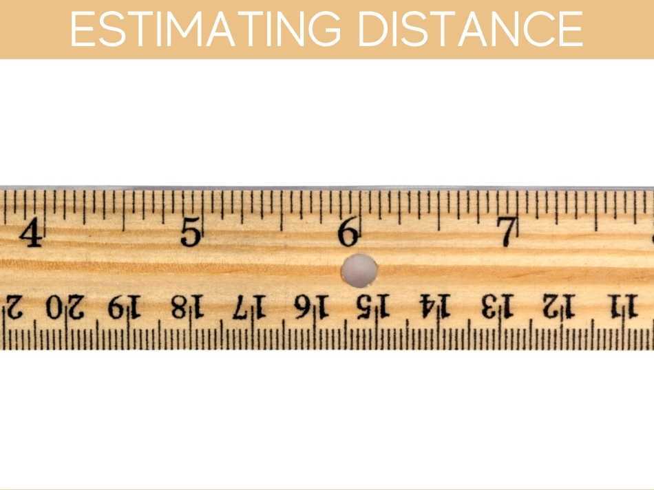 Estimating Distance