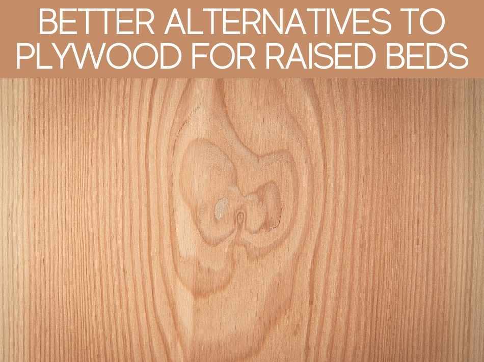 Better Alternatives To Plywood For Raised Beds