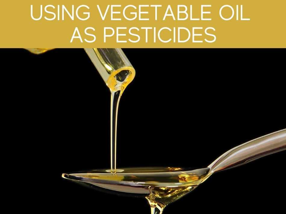 Using Vegetable Oil As Pesticides