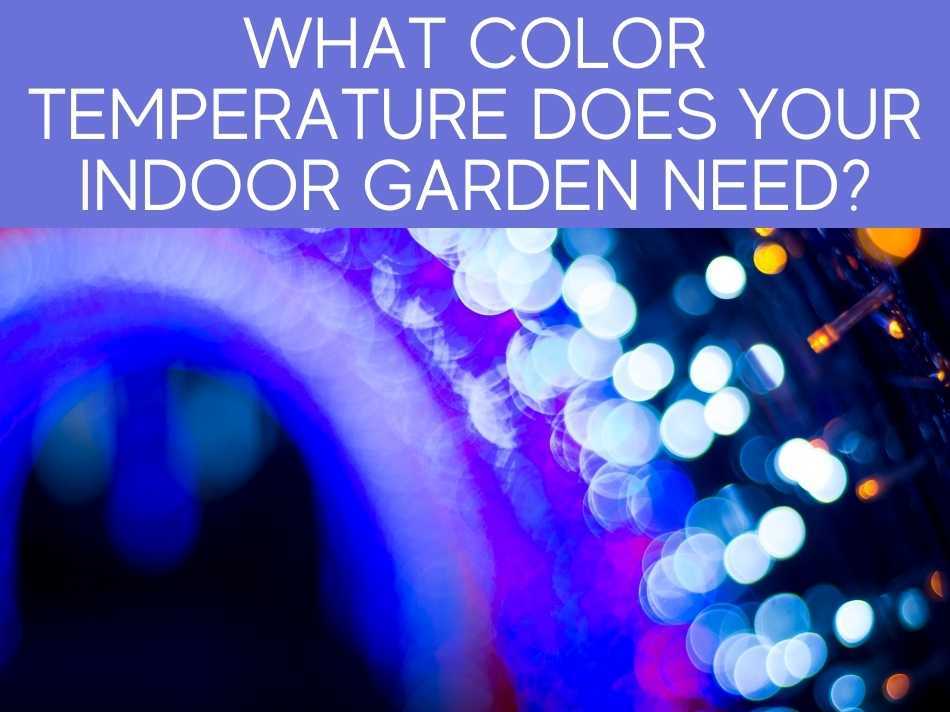 What Color Temperature Does Your Indoor Garden Need?