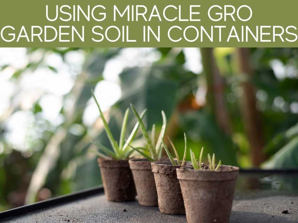 Using Miracle Grow Garden Soil In Containers