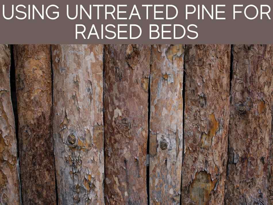 Using Untreated Pine For Raised Beds