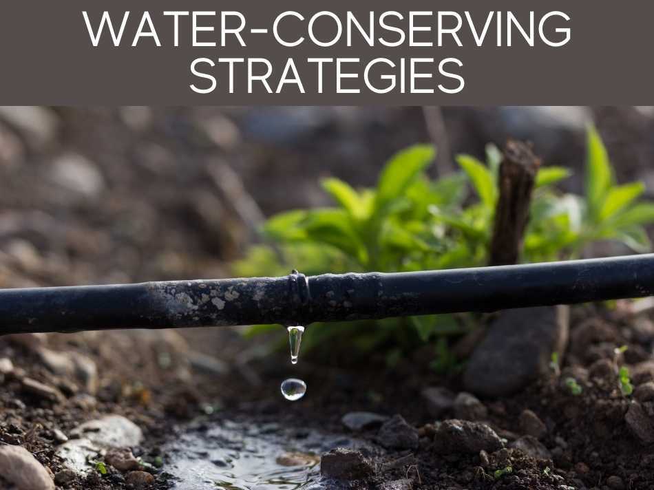 Water-Conserving Strategies