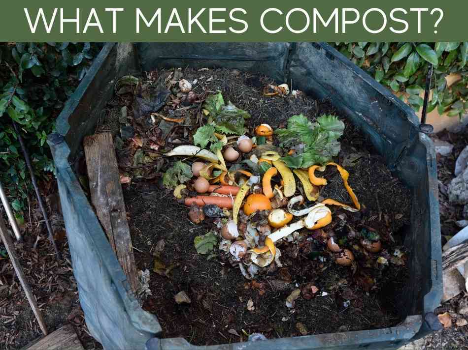 What Makes Compost?