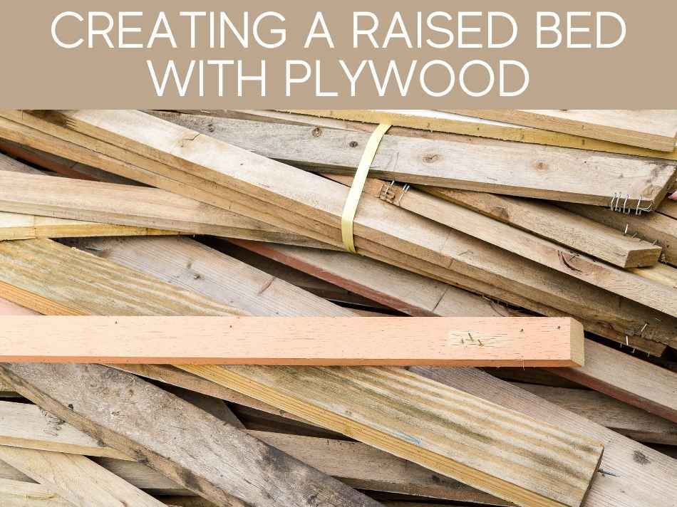 Creating A Raised Bed With Plywood
