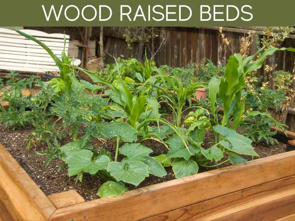 Wood Raised Beds