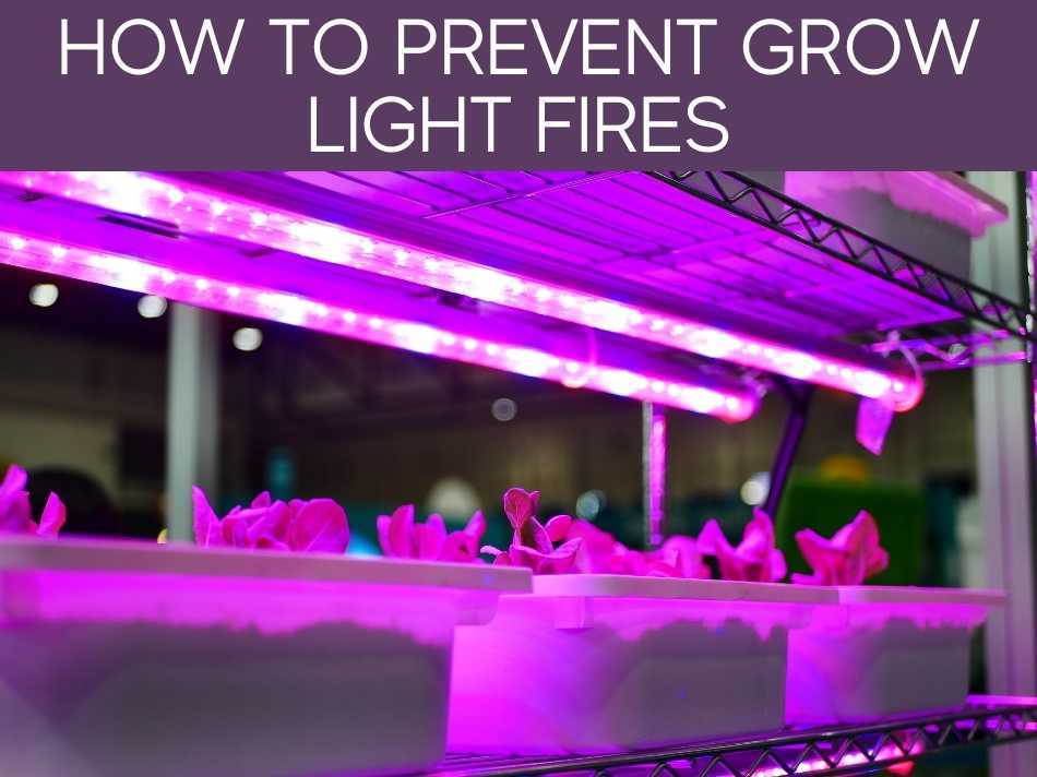 How To Prevent Grow Light Fires