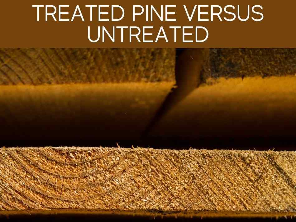 Treated Pine Versus Untreated